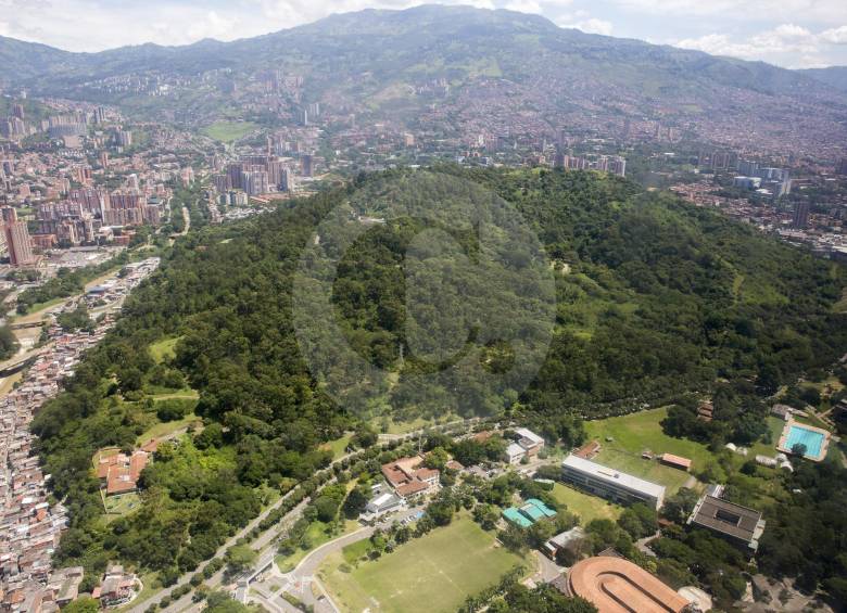 El cerro El Volador es el parque natural más grande dentro del área urbana de Medellín. FOTO Edwin bustamante restrepo