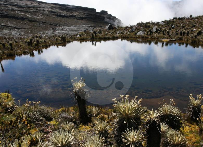 Paramo de Suamapaz. FOTO Donaldo Zuluaga