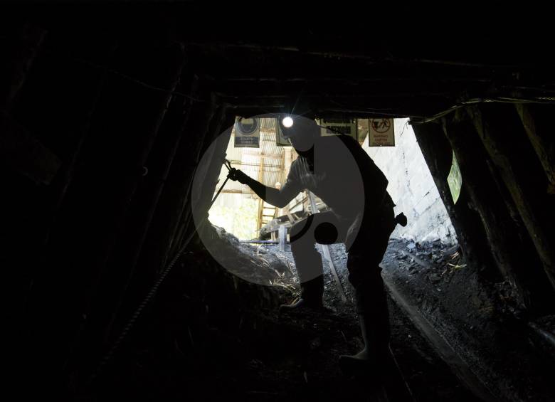 FOTO CARLOS VELÁSQUEZ 