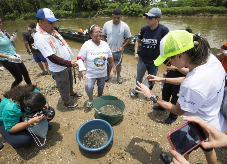 Isabel Romero (en el centro) y varias personas se aprestan a liberar las tortugas en la playa Costa Rica.