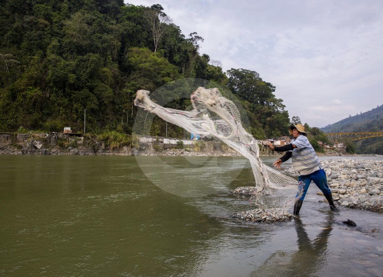 Pese a la emergencia ambiental, los pescadores han continuado su actividad. FOTO esteban vanegas