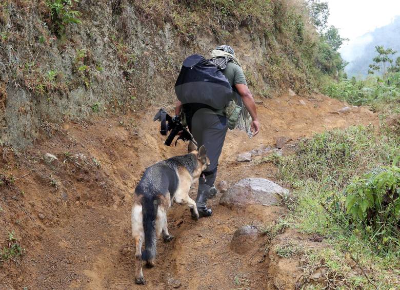 Kori nació en el norte de Antioquia y hace parte del frente 18 de las Farc. FOTO donaldo zuluaga.
