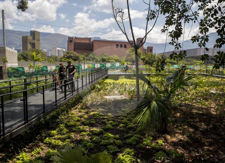 Familias y mascotas, las que más disfrutan el Parque del Río