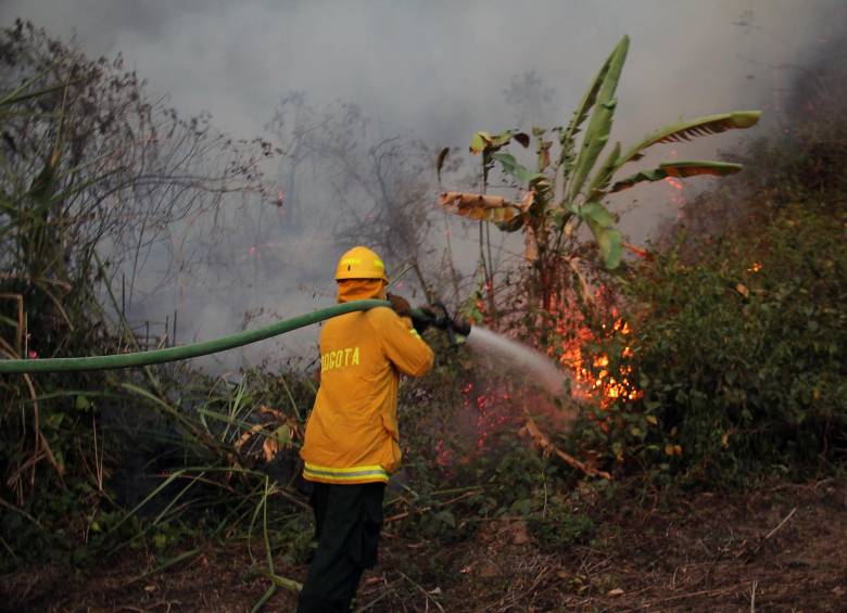 El año pasado Bogotá perdió bajo el fuego 58 hectáreas, entre ellas 3 de bosque. FOTO colprensa