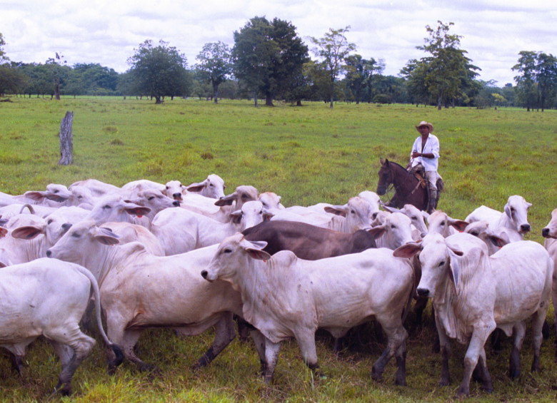 El Gobierno uso en marcha un paquete de ayudas para ganaderos afectados por brotes de aftosa. Foto: Archivo.