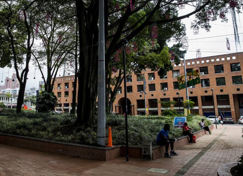 La Ley 2000 de 2019 reglamentó la materia. FOTO Archivo EL COLOMBIANO