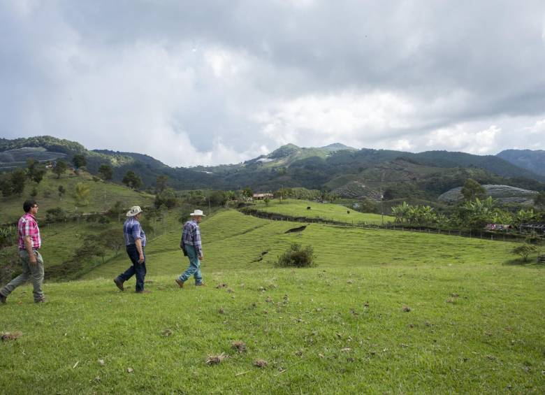 En Palocabildo, un corregimiento de Jericó, los campesinos se oponen a que funcione la mina Quebradona. Aseguran que su vocación económica es agrícola y turística. FOTO Edwin Bustamante