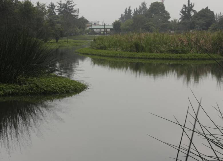 En la construcción del mapa de humedales participaron el Instituto Geográfico Agustín Codazzi, el Instituto Alexander von Humboldt, el IDEAM y el Ministerio de Ambiente. FOTO Colprensa