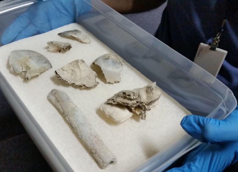 El hallazgo del cráneo data de hace unos 12.000 años y era una de las joyas del Museo Nacional. Fue confirmado el rescate por la propia institución. Foto: EFE