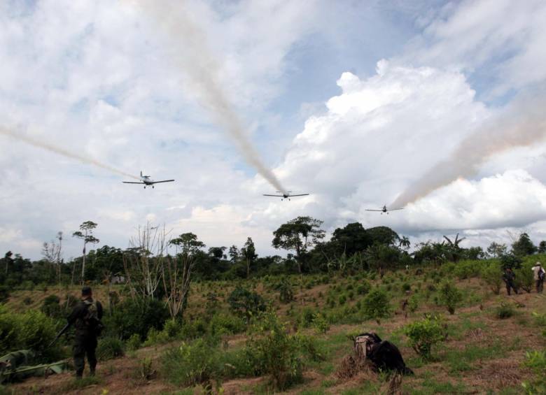 Para que el Consejo Nacional de Estupefacientes decida sobre la aspersión aérea con glifosato deberá considerar el Acuerdo de Paz y el plan de sustitución de cultivos. FOTO Archivo Colprensa