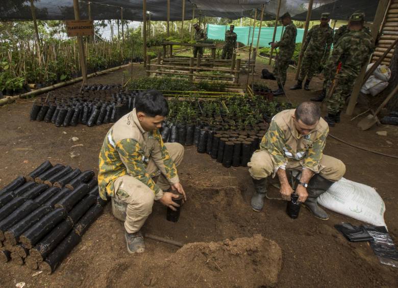 Los héroes suman en la tarea de sembrar árboles