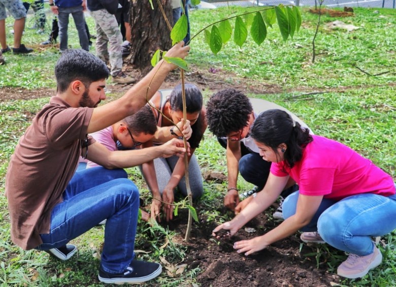Jornada de siembra para lograr plantar 150 árboles en el campus de la Facultad de Minas de la Universidad Nacional, sede Medellín. FOTO CORTESÍA