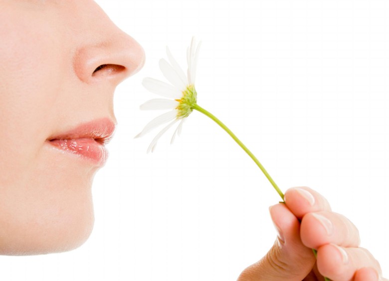 Las narices albergan alrededor de 6 millones de receptores olfativos de unos 400 tipos diferentes. No hay dos personas que huelan el mundo de la misma manera. FOTO sstock