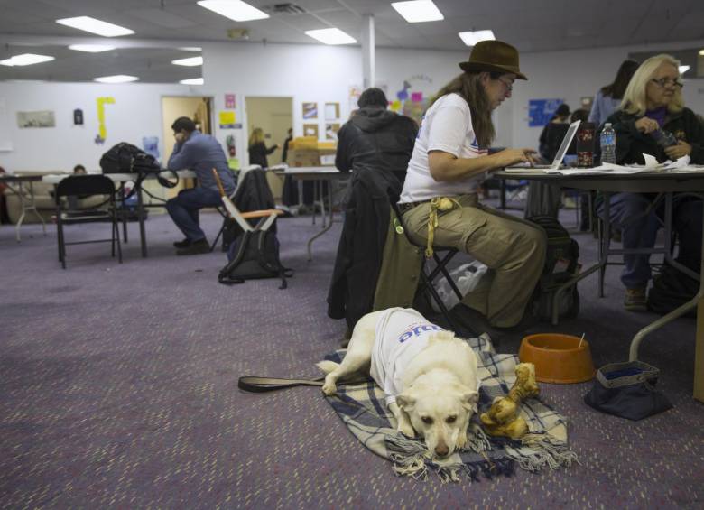 Ni los perros descansan en el equipo de campaña de Sanders, que no escatima trabajo. FotoS ap, afp y reuters