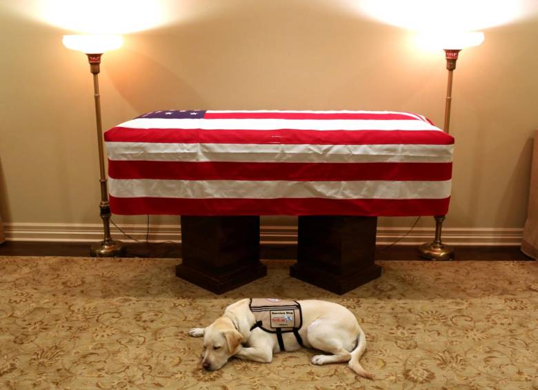 Sully, el fiel perro del mandatario número 41 del país, George H.W. Bush, regresó el lunes a la capital con su difunto amo. Foto: Reuters