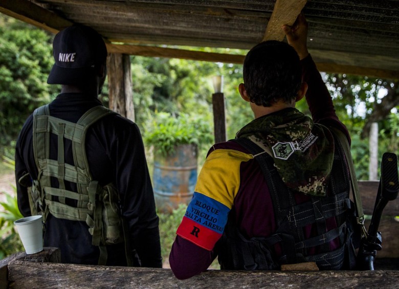 Los integrantes de grupos ilegales que dejen las armas recibirán un apoyo económico para acceder a una actividad productiva. FOTO Julio César Herrera