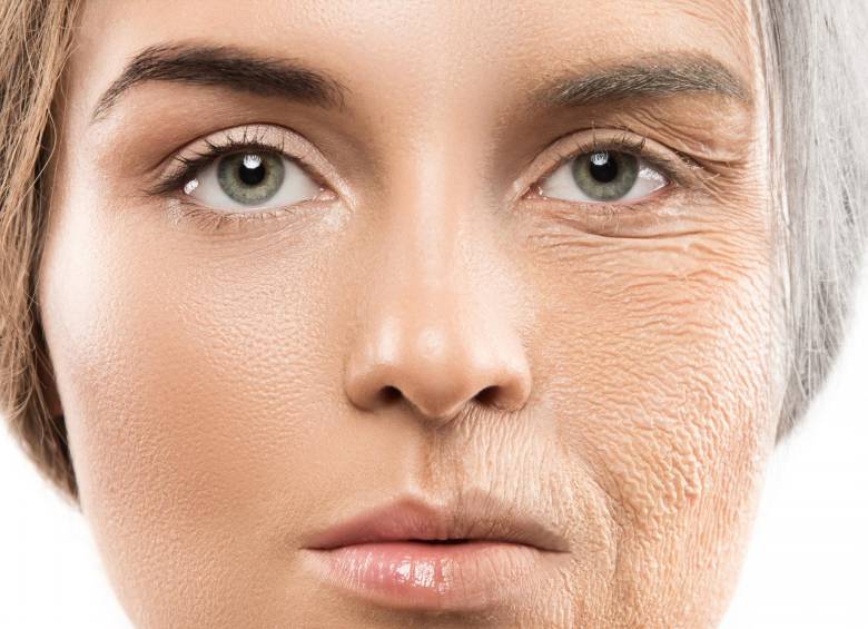 “No hay escapatoria, el envejecimiento es matemáticamente inevitable”, asegura el estudio. FOTO Sstock