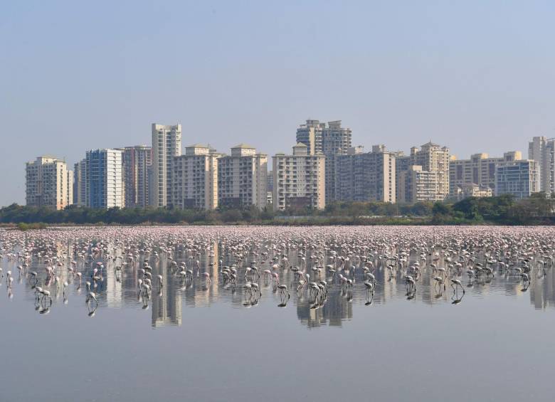 Mumbai, India. FOTO:AFP