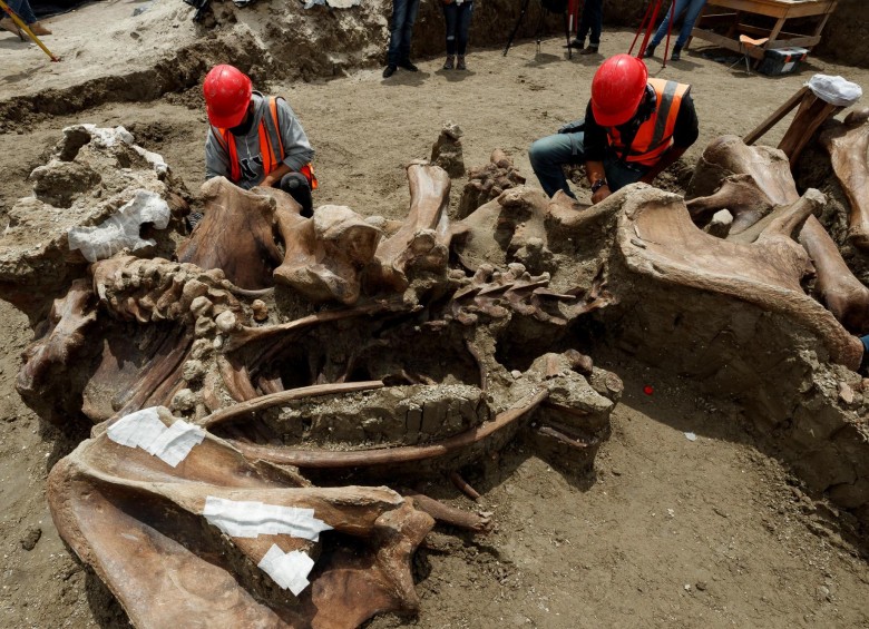 Cerca de 8.000 huesos fueron hallados en México, es el descubrimiento más grande registrado. FOTO Efe