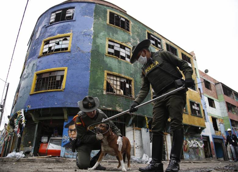 En El Bronx encontraron decenas de perros, gatos y hasta peceras