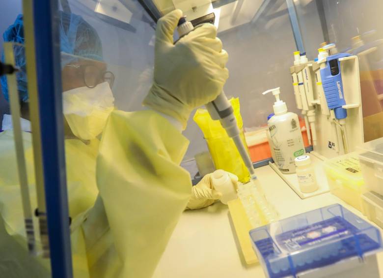 El estudio se realizó en la universidad de Southampton, en Inglaterra. Los resultados son alentadores FOTO EFE