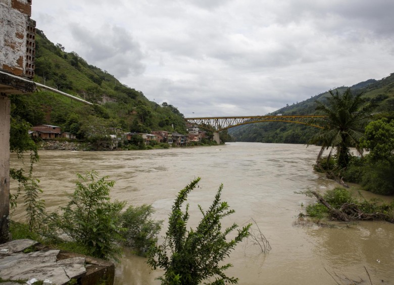 Caudal del río Cauca en el corregimiento de Puerto Valdivia, Antioquia. FOTO ESTEBAN VANEGAS