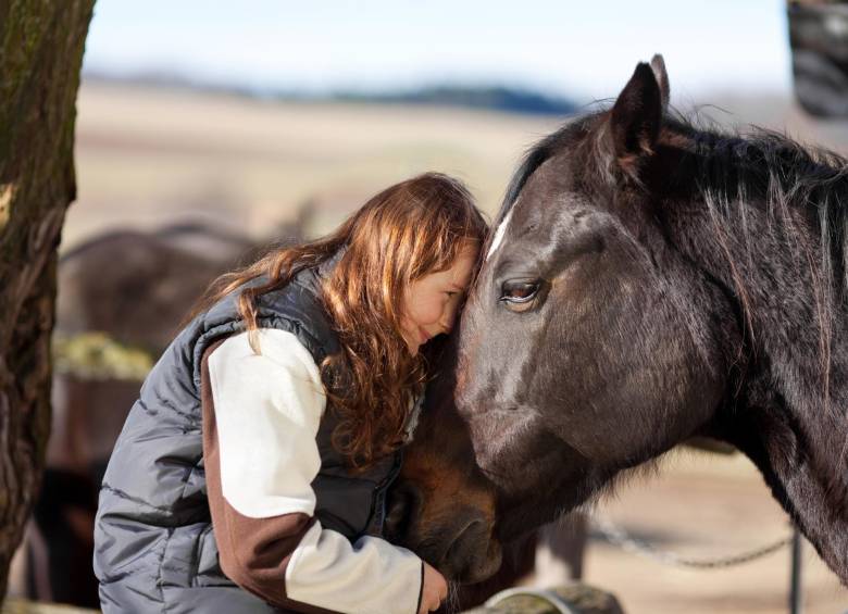 Los caballos del estudio fueron escogidos de cinco establos en las regiones de Sussex y Surrey en el Reino Unido entre abril de 2014 y febrero de 2015, y en ellos fueron analizados por las investigadoras. FOTO SSTOCK