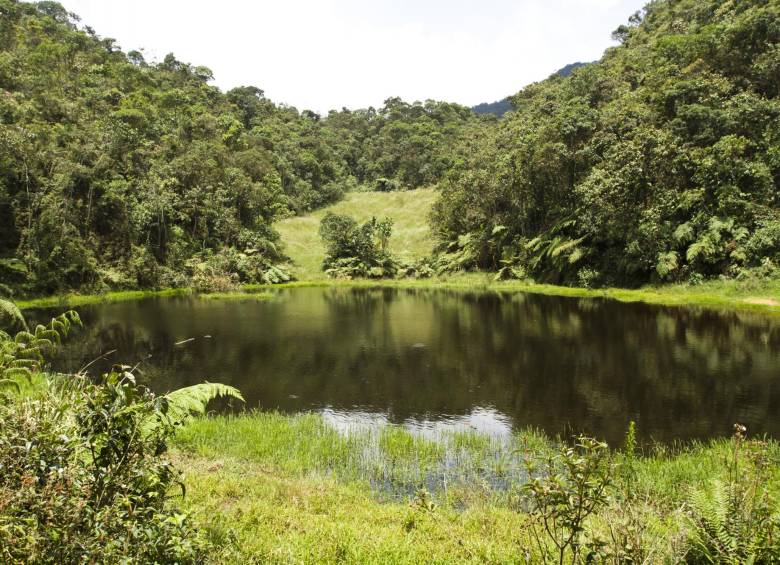 La reserva del Romeral cerca a Medellín. FOTO archivo