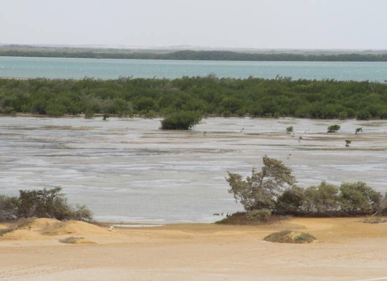 Portete sumará otras 14.000 hectáreas a parques naturales