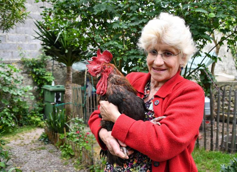 El gallo Maurice podrá seguir cantando: tribunal francés