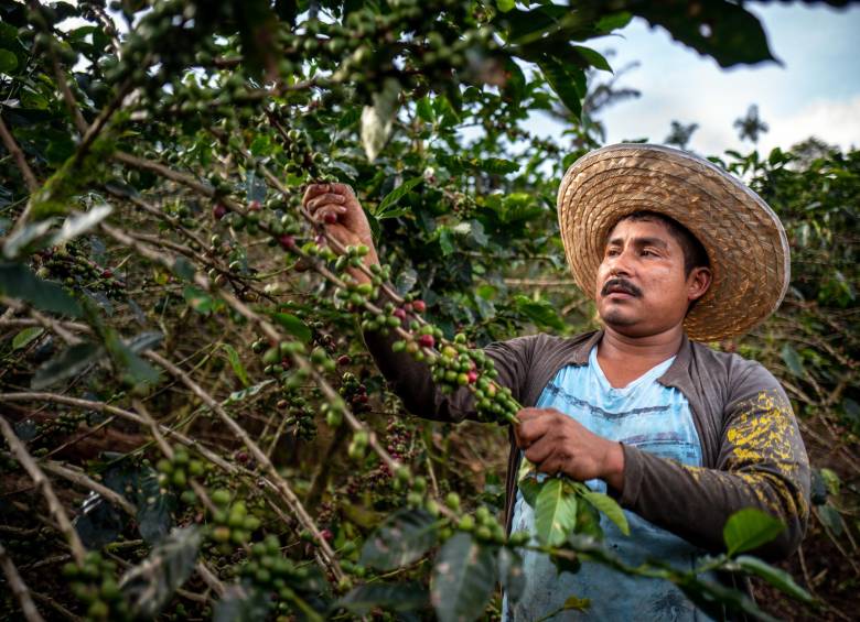 Exportadores colombianos buscarán hacer negocios durante la macrorrueda. FOTO: COLPRENSA