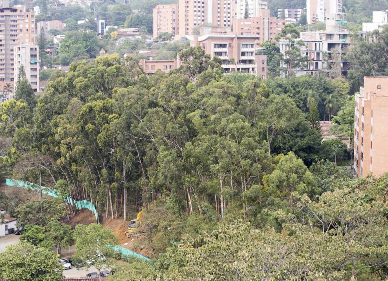 Los municipios de Guarne, Marinilla, Jericó, Santa Bárbara, Belmira, El Bagre, Arboletes, Sopetrán, Puerto Triunfo y Mungodó serán los primeros beneficiados con el proyecto. FOTO Edwin Bustamante Restrepo.