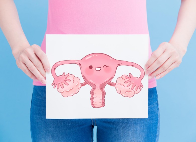 Los resultados del estudio revelan nuevos conocimientos en la comprensión del funcionamiento del endometrio y ayudarán en la comprensión de enfermedades como la endometriosis. FOTO sstock
