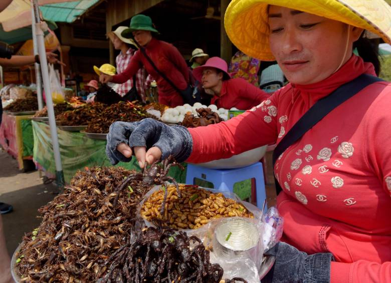 La tarántula no forma parte de las especies en peligro de Camboya pero la deforestación masiva destruye su hábitat natural. FOTO: Afp