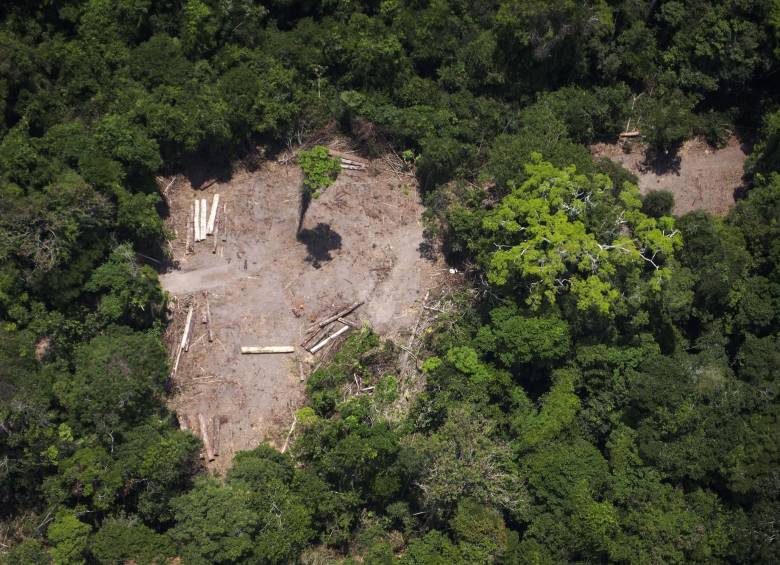 Foto de archivo, tomada el 13 de octubre de 2014, que muestra áreas de explotación ilegal de madera en el estado de Pará, Brasil. FOTO: AFP.