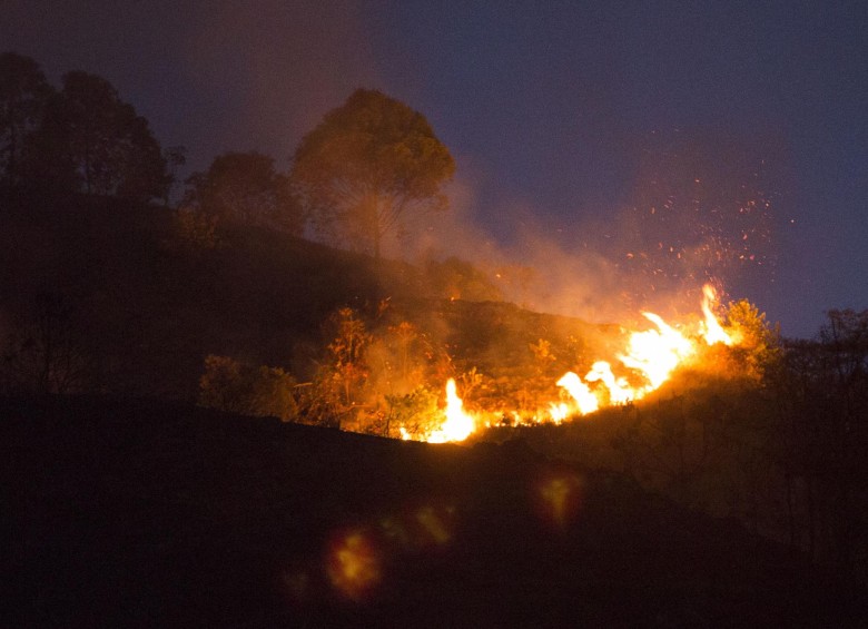 Medellín ha perdido más de 60 hectáreas de verde en el 2019 producto de los incendios forestales. FOTO EDWIN BUSTAMANTE