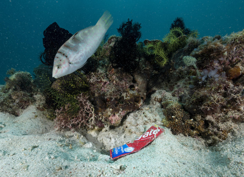 Un pez nada cerca a basura arrojada al mar en Isla Verde. Foto cortesía Greenpeace