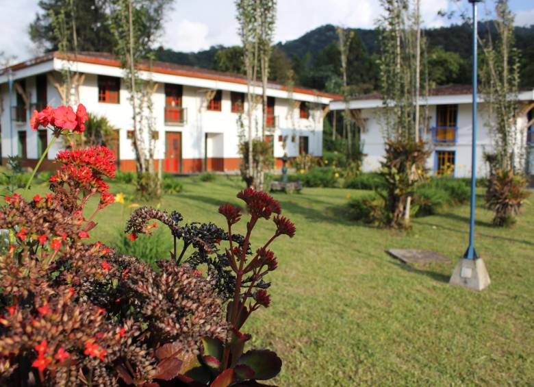 El santuario Otún Quimbaya se caracteriza por una vegetación representativa de la selva subandina. FOTOS parques nacionales naturales