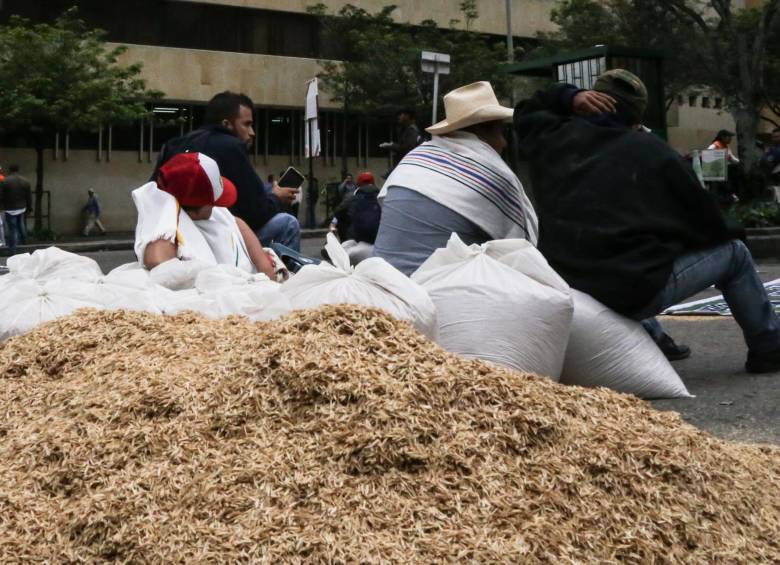 El gremio de arroceros anunció su participación en el paro agrario. FOTO COLPRENSA