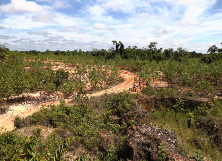 Así estaban las tierras degradadas por la actividad minera ilegal en el Bajo Cauca. Parte se ha recuperado. FOTO cortesía usaid