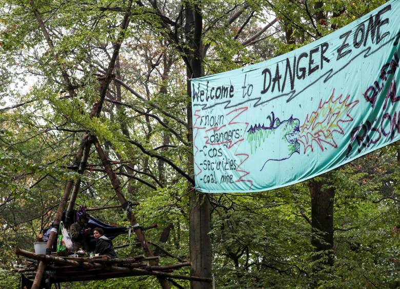 Viven en los árboles de un bosque en Alemania y los quieren desalojar