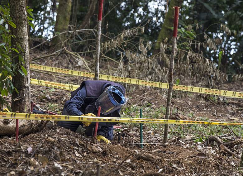 La instalación de minas antipersonal y otros artefactos explosivos ha aumentado en Colombia, según el último informe entregado por la Mapp-Oea. Foto: Archivo.