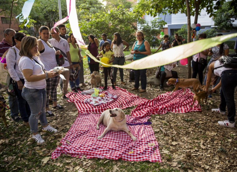 Como las homenajeadas fueron las mascotas, Marcela Díaz, directora de Orca, les ofreció torta y camping. FOTO Camilo suárez