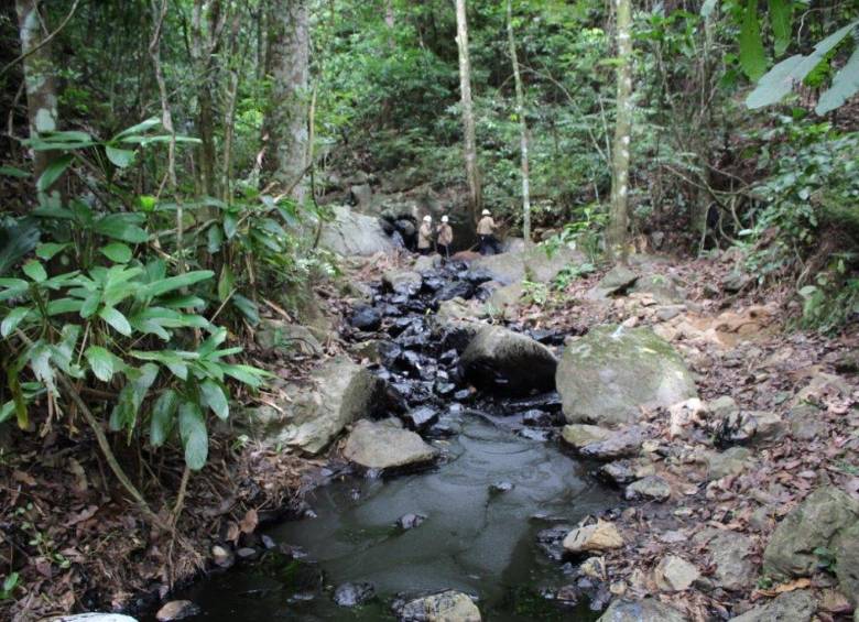 Caño Limón ha operado 1 de cada 2 días este año