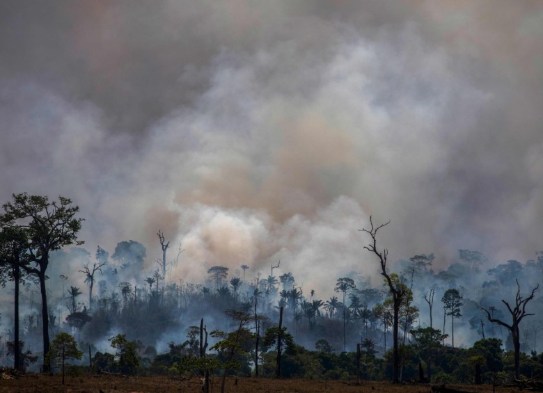 El Cams reportó que los incendios de este año fueron causados por condiciones inusualmente cálidas y secas. FOTO AFP