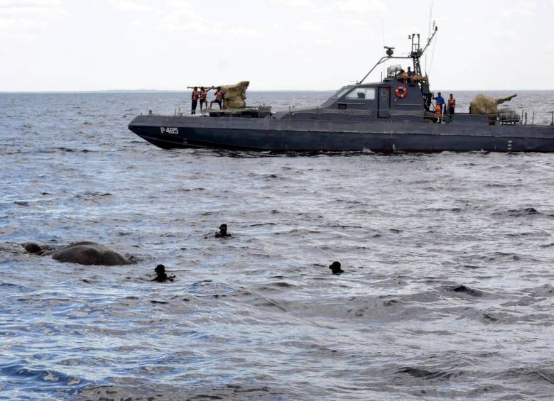 El complicado rescate de un elefante en medio del mar