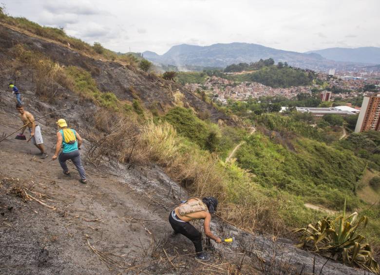 Varios de los asiduos visitantes y vecinos del cerro llegaron a hacer limpieza y a regar semillas y agua. FOTO CARLOS VELÁSQUEZ