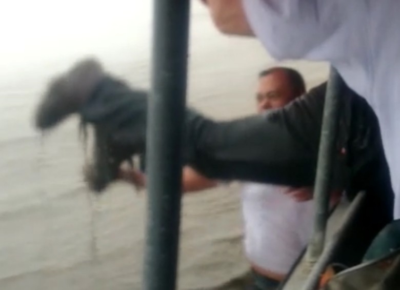 El Defensor del Pueblo recibió ayuda para volver a la embarcación. FOTO TOMADA DE VIDEO
