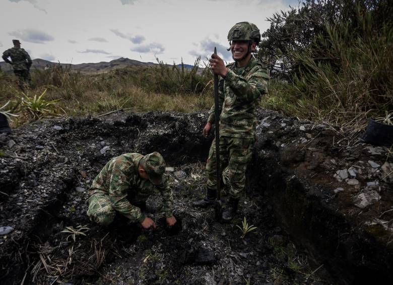 Soldados durante las labores de reforestación y conservación de flora y fauna. FOTO COLPRENSA