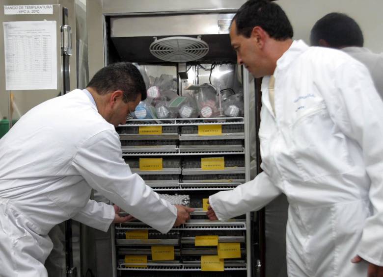 FOTO ARCHIVO COLPRENSA